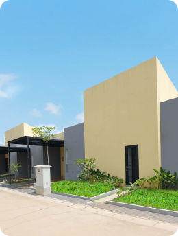 Image Cluster Cluster Acacia