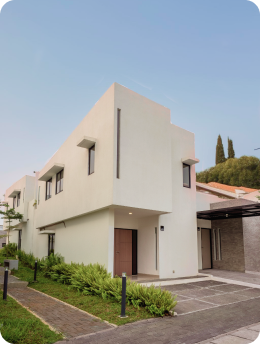 Image Cluster Cluster Albizia