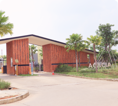 Image Gallery Cluster Acacia