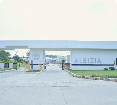 Image Gallery Cluster Albizia